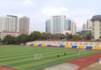 Hubei University of Medicine