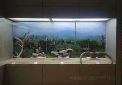 Aohan Prehistory Museum