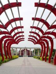 Aiqing Theme Park