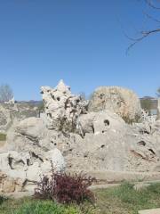 Weifang Stone Forest Scenic Area