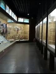 Музей народных обществ Юньнань