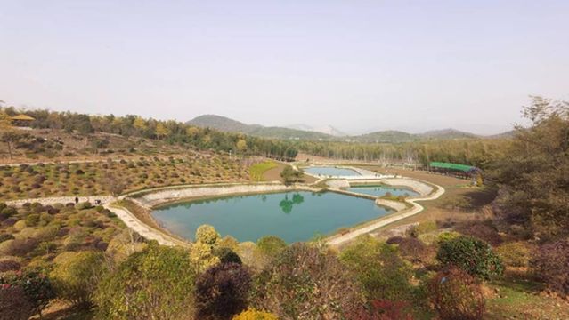 Иксинский национальный лесный парк