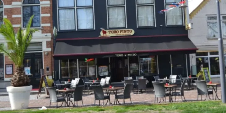 Toro Pinto and Bravo