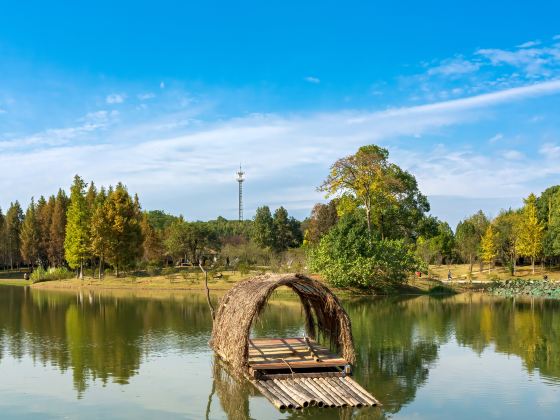 Shuntian Ecology Botanical Garden