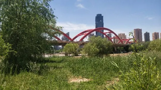 灘尖子濕地公園