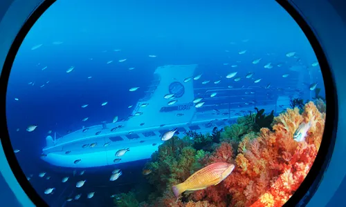 Scuba Diving in Seogwipo