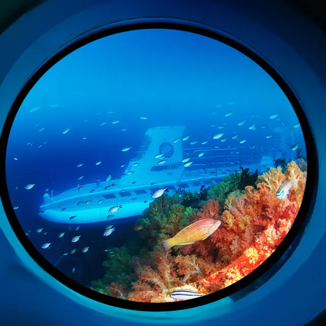 Scuba Diving in Seogwipo