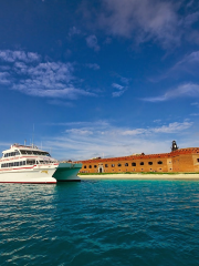 Yankee Freedom Dry Tortugas Ferry