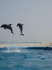 Acuario de Veracruz