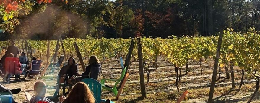 Loughlin Vineyard