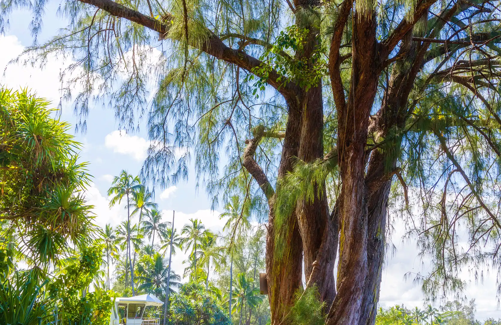 Hotels near Richardson Ocean Park