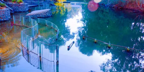 約旦尼特洗禮處