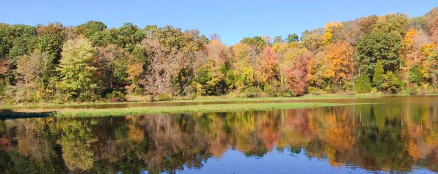 Lake Fairfax Park