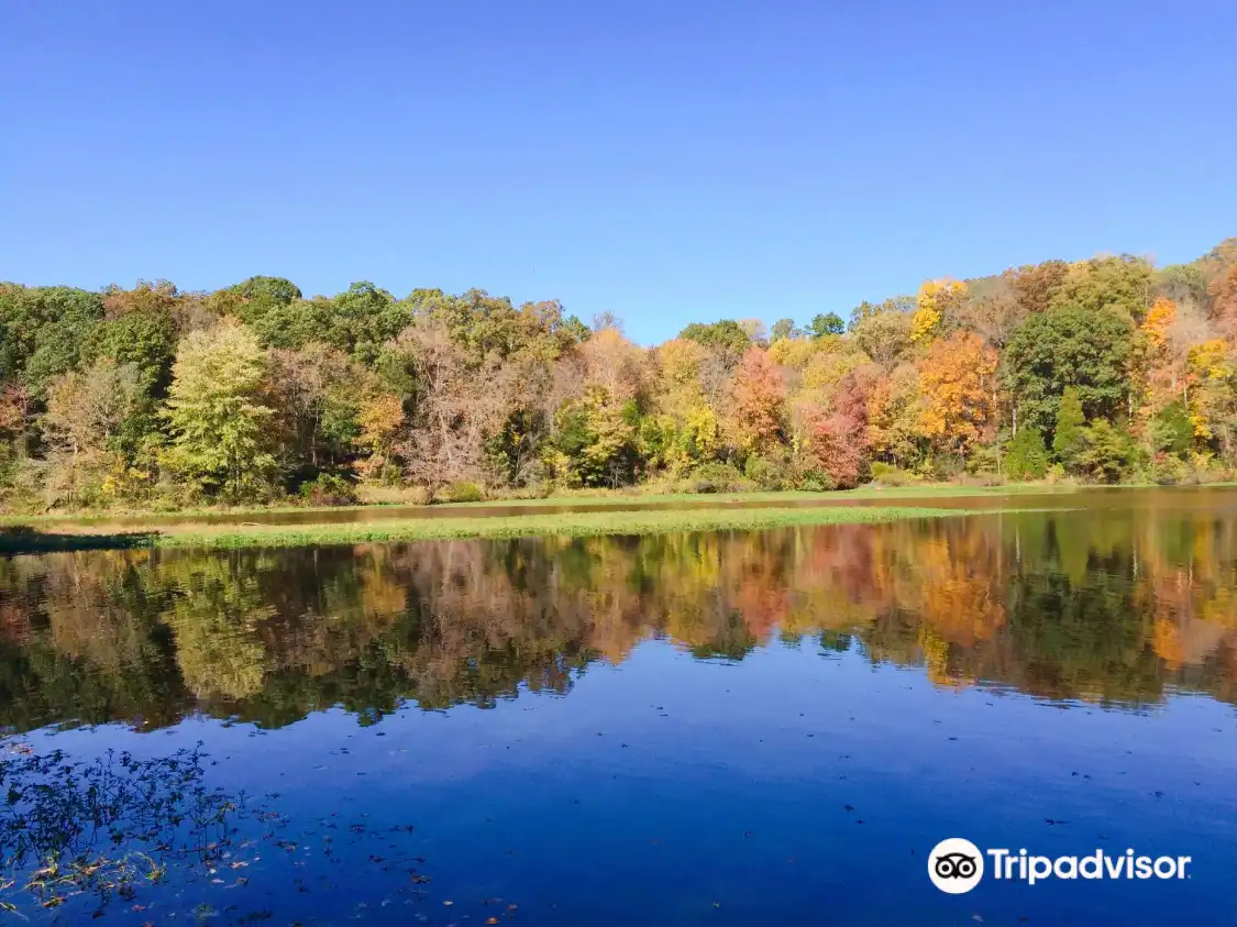 Hotels near Lake Fairfax Park