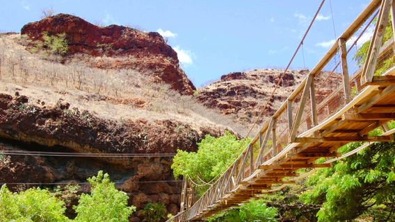 Hanapepe Swinging Bridge