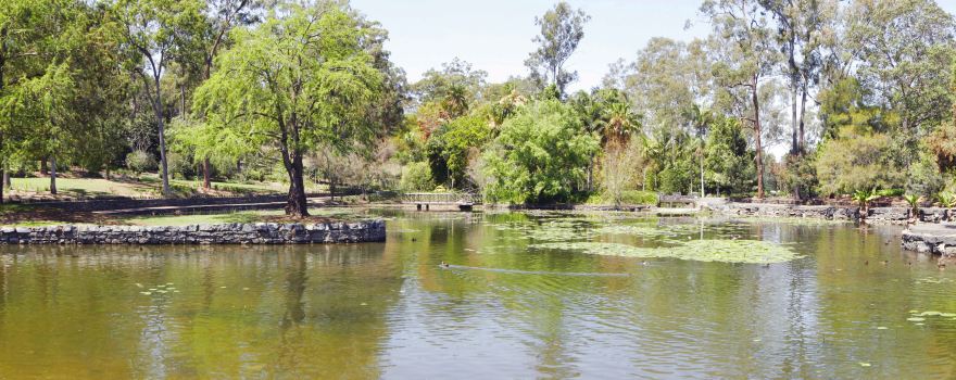 Mount Coot-tha Reserve