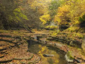 Watkins Glen State Park