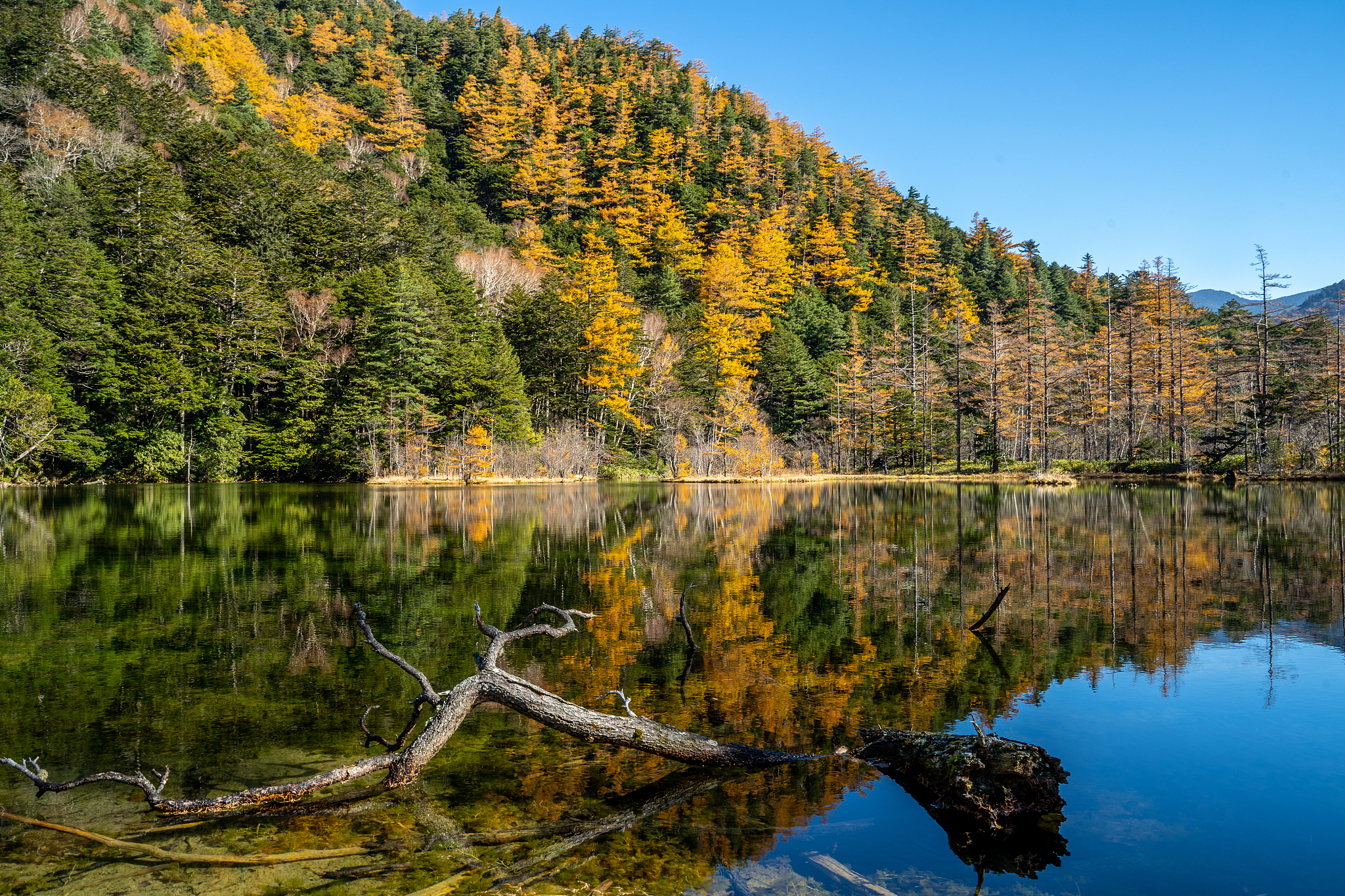 Popular Fall Viewing Attractions in Matsumoto
