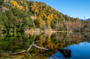 Popular Fall Viewing Attractions in Matsumoto