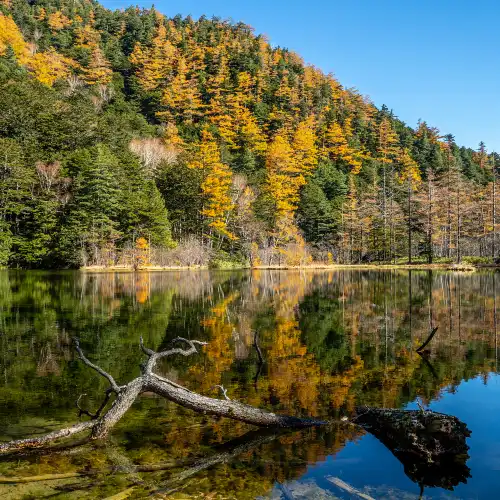 Popular Fall Viewing Attractions in Matsumoto