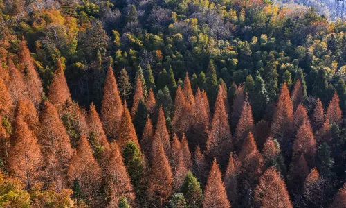 Daweishan National Forest Park