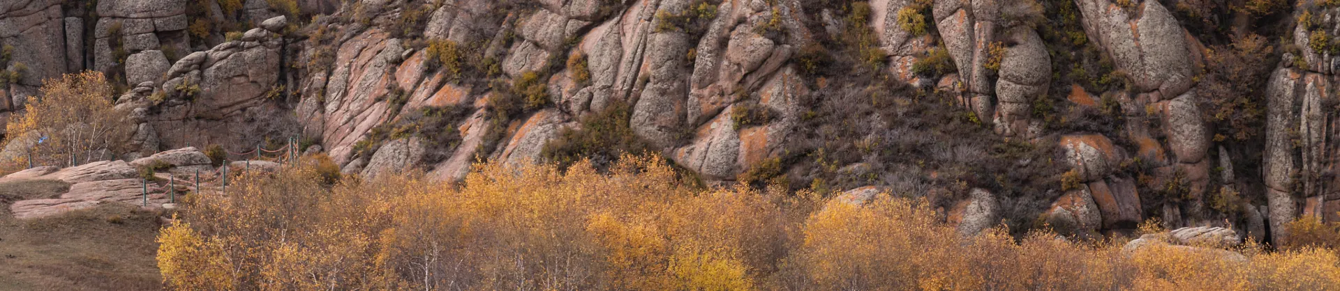 Fall Viewing Attractions