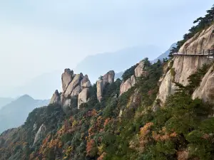 青陽の人気紅葉の名所