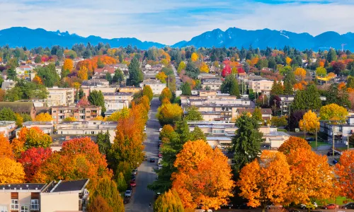 Maple Leaf Viewing in Vancouver