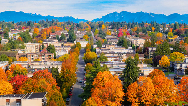 Maple Leaf Viewing in Vancouver