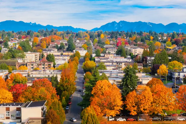 Maple Leaf Viewing in Vancouver