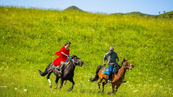 nei meng gu xing he cha er hu guo jia shi di gong yuan - qi ma