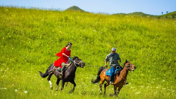 nei meng gu xing he cha er hu guo jia shi di gong yuan - qi ma