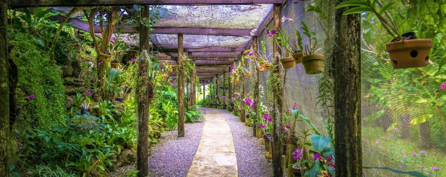 Garden of the Sleeping Giant
