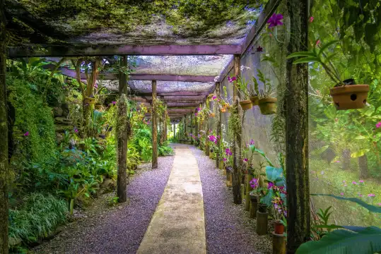 Hotels near Garden of the Sleeping Giant