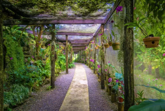 Garden of the Sleeping Giant