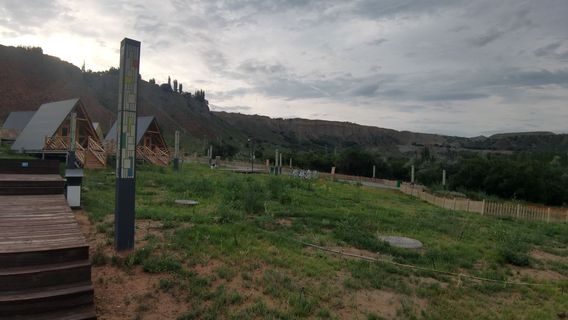 ye qi xing lin du jia ying di