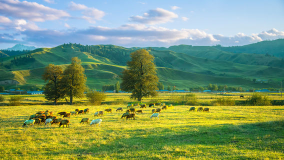 Nalati Grassland