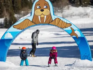 La Piste des Animaux