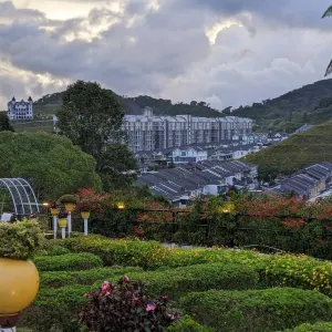 Cameron Highlands