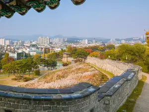 Popular Fall Viewing Attractions in Suwon