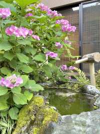 隠れた花の名所