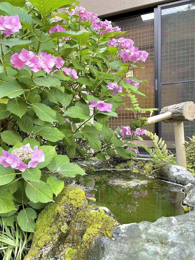 隠れた花の名所