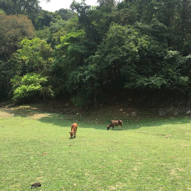 城門水塘：最舒適的行山路線