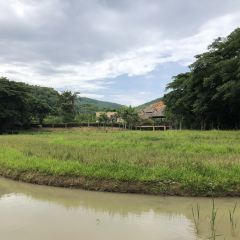 西双版纳洲际度假酒店海鲜傣味烧烤·侬香全日制餐厅 User Photo