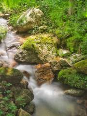 桂東大洞紫雲軒