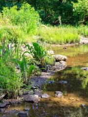 Jiaxing Botanical Garden