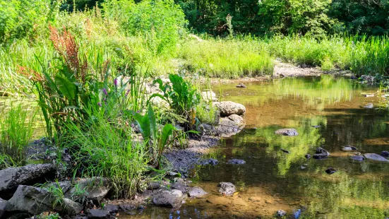 Jiaxing Botanical Garden