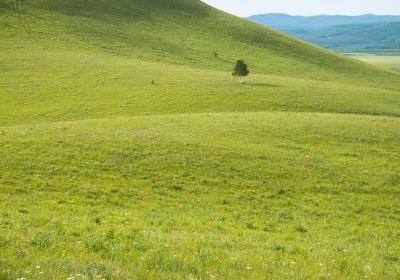 Antler Bay Ranch