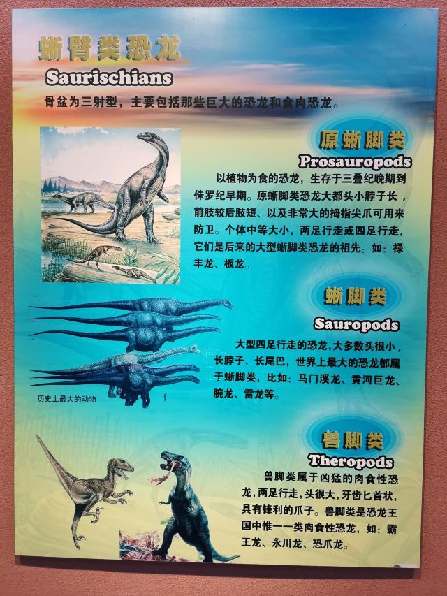 Heyuan City Museum (Heyuan Dinosaur Museum)