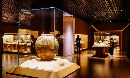 In-Depth Museum Tour in Shanghai